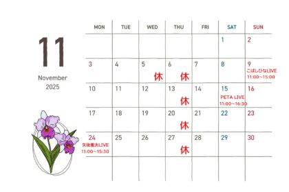 2025年11月の予定