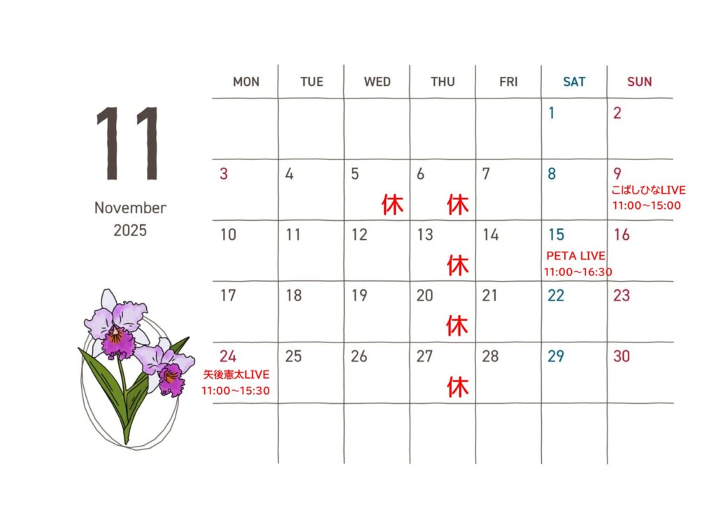 2025年11月の予定