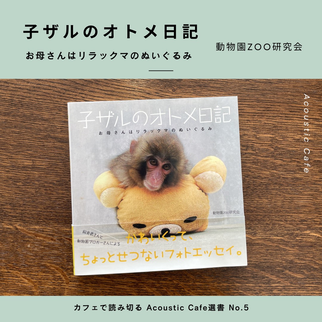 ちー☆5月1日までのお取り置き☆ハンドメイドのビックサイズのお猿さん 子ザルのオトメ日記 – ようこそ！Acoustic Cafeへ